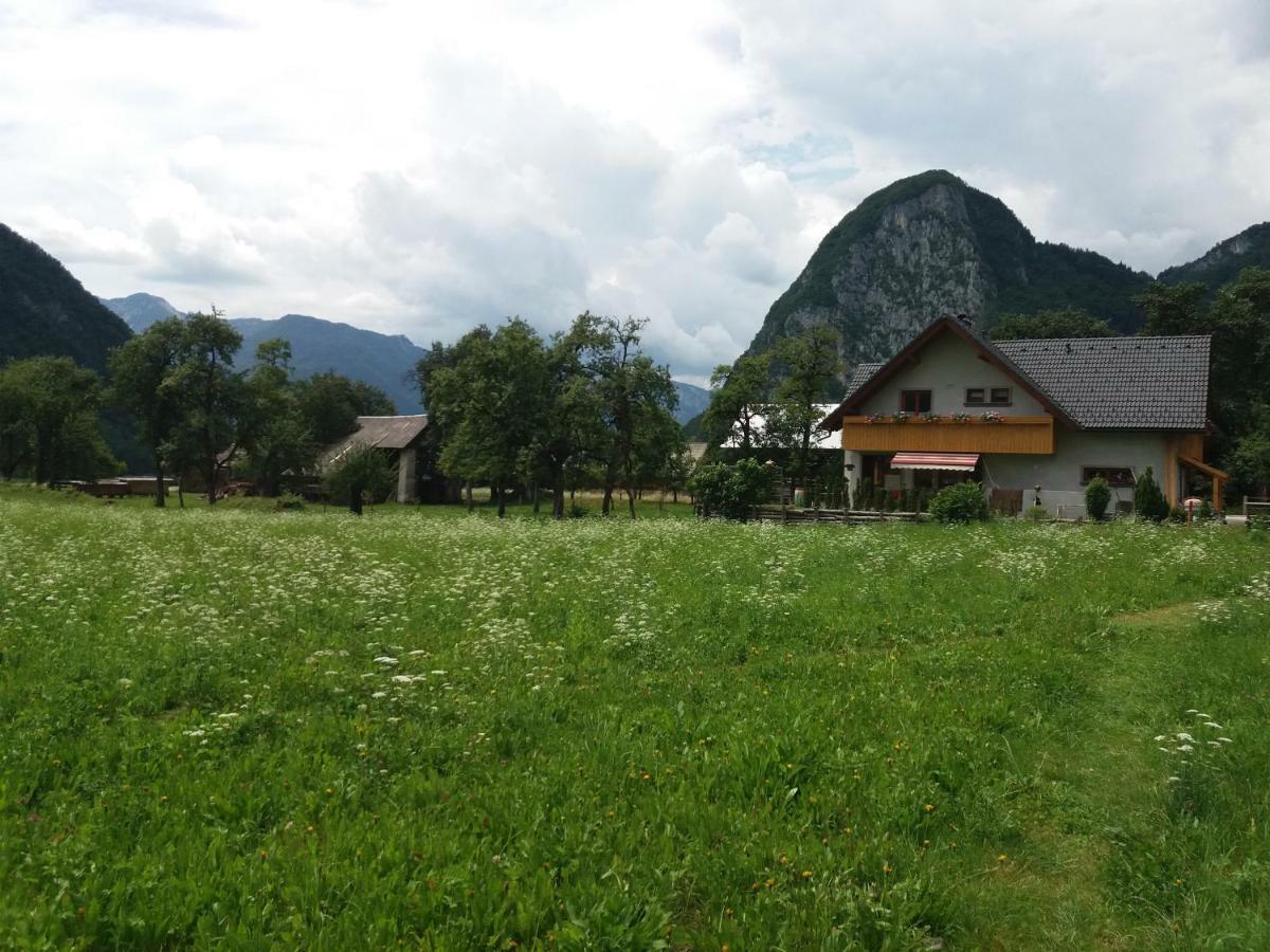 Apartmaji Bremec Bohinj Exterior foto